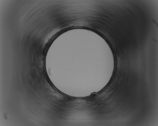 X0000103231115200809251258