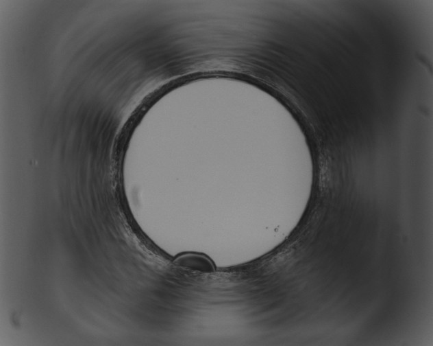 X0000103231116200809251258
