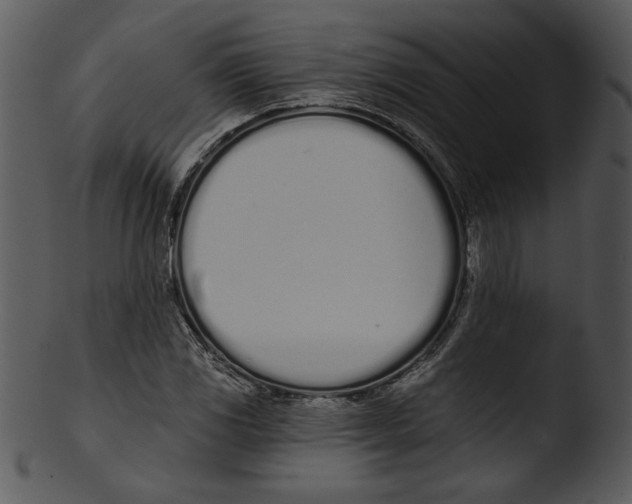X0000103231117200809251258