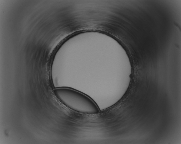 X0000103231120200809251258