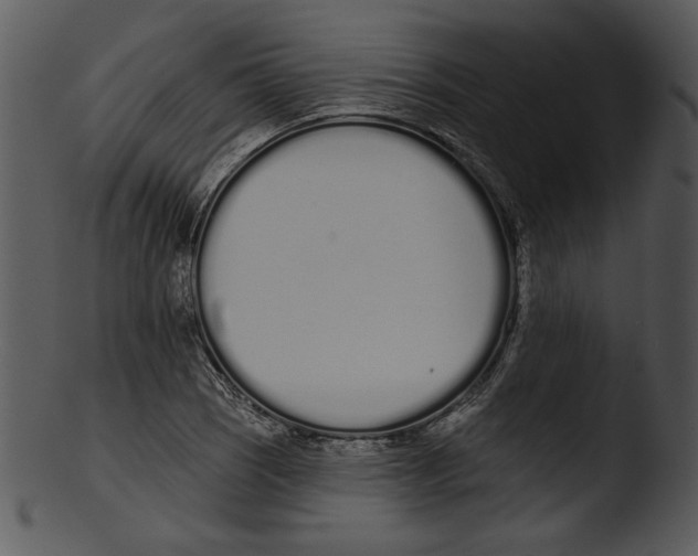 X0000103231121200809251258