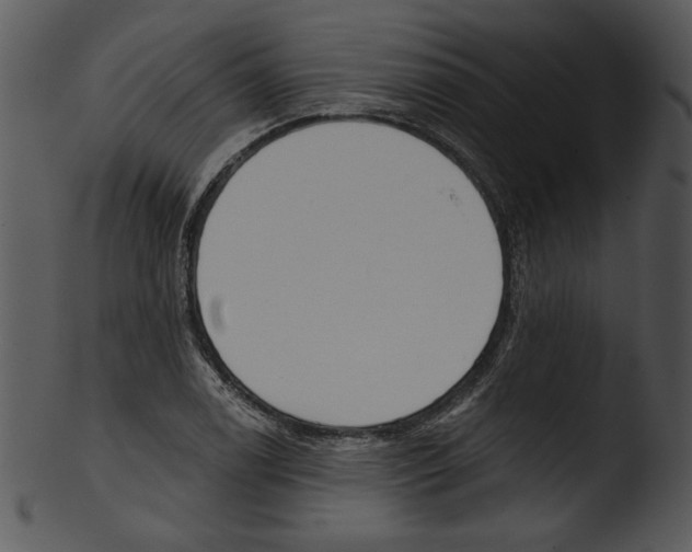 X0000103231122200809251258