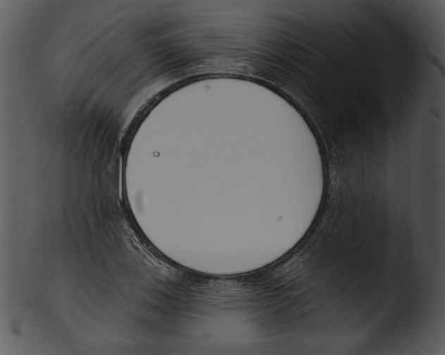 X0000103231123200809251258