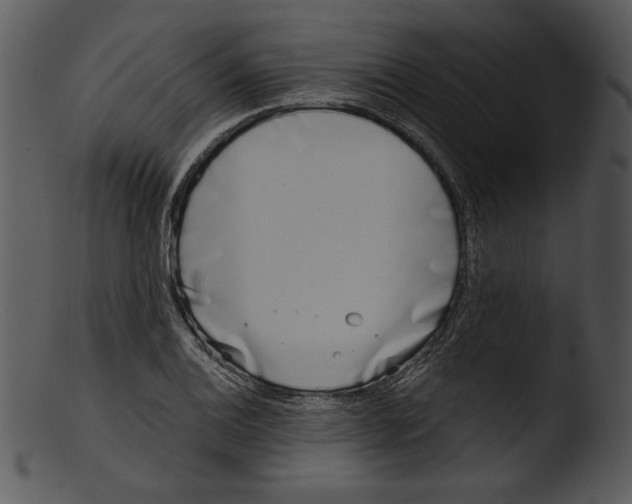 X0000103231124200809251258