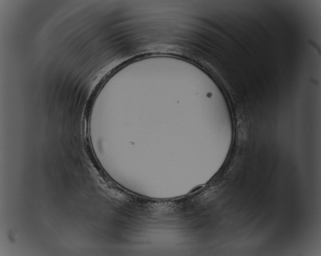 X0000103231125200809251258
