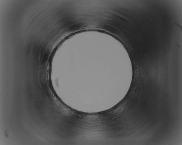 X0000103231126200809251258