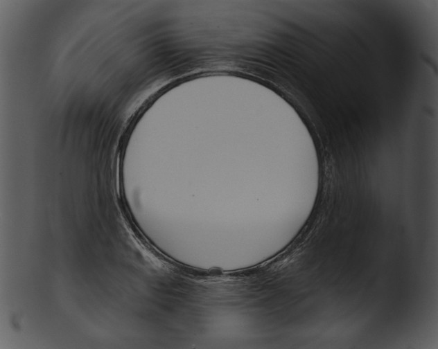 X0000103231127200809251258
