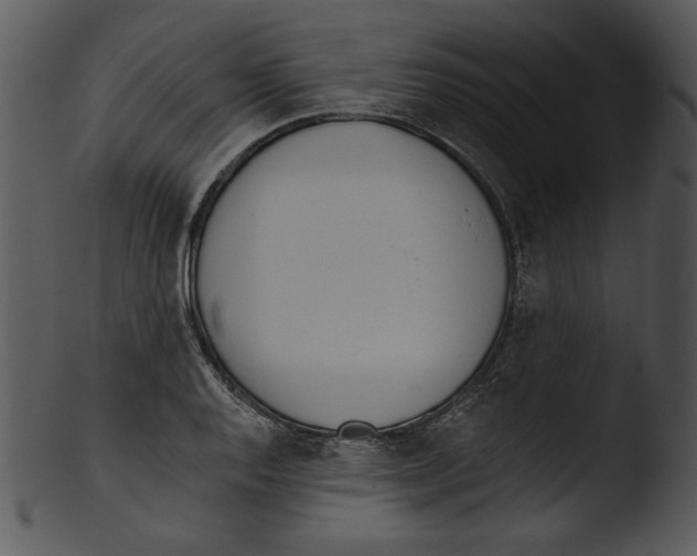 X0000103231128200809251258