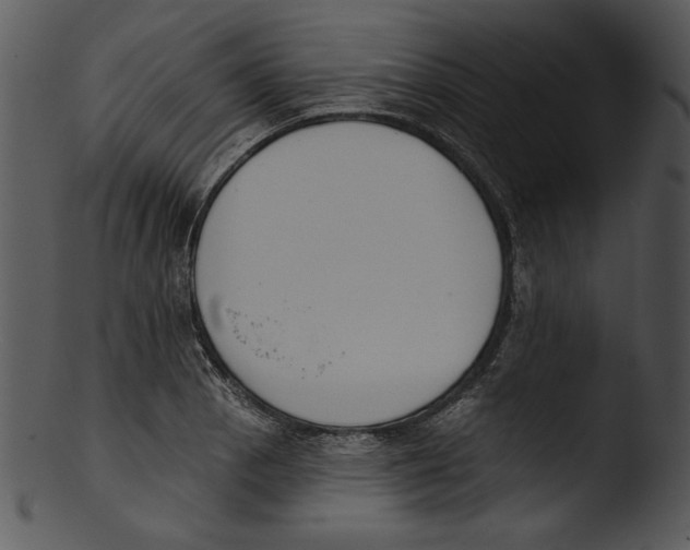 X0000103231129200809251258