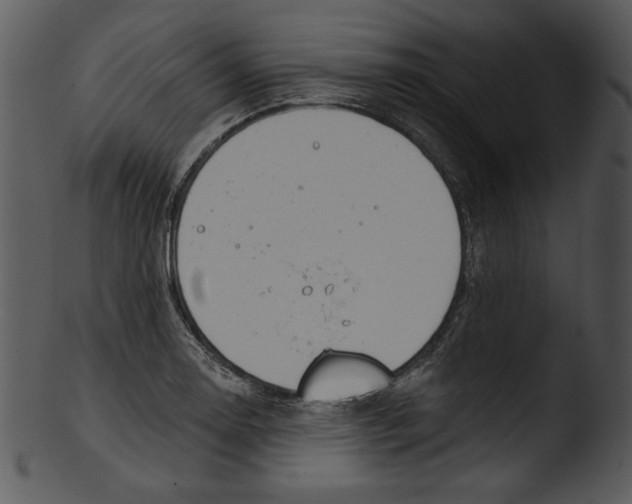 X0000103231130200809251258