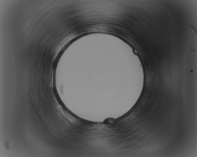 X0000103231131200809251258