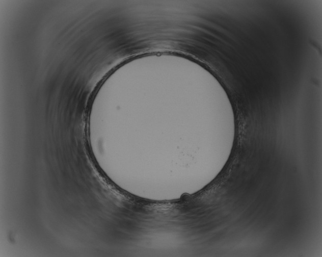 X0000103231134200809251258