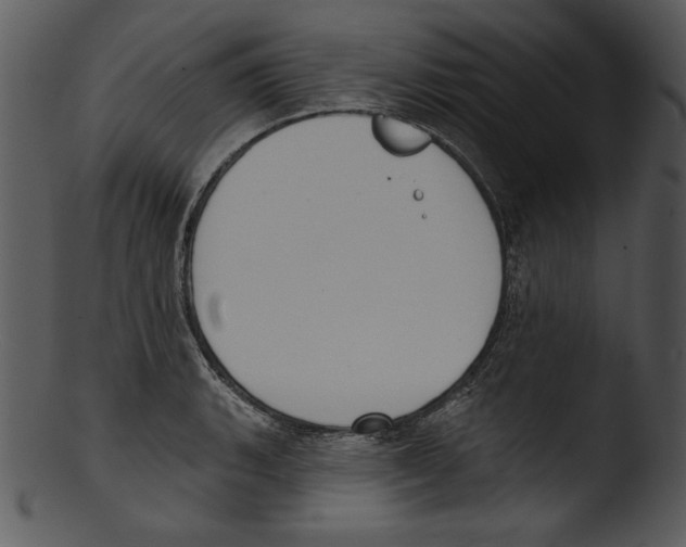 X0000103231135200809251258