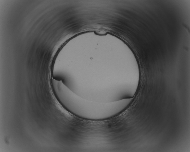 X0000103231136200809251258