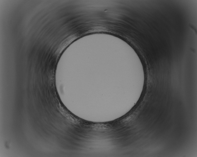 X0000103231137200809251258