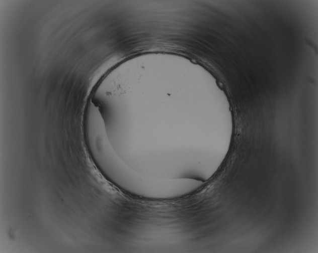 X0000103231138200809251258