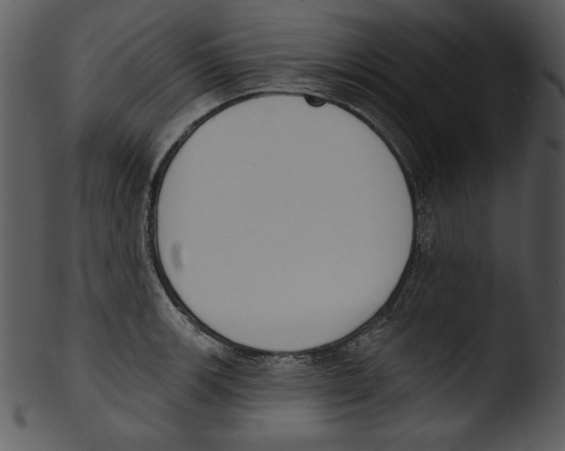 X0000103231139200809251258