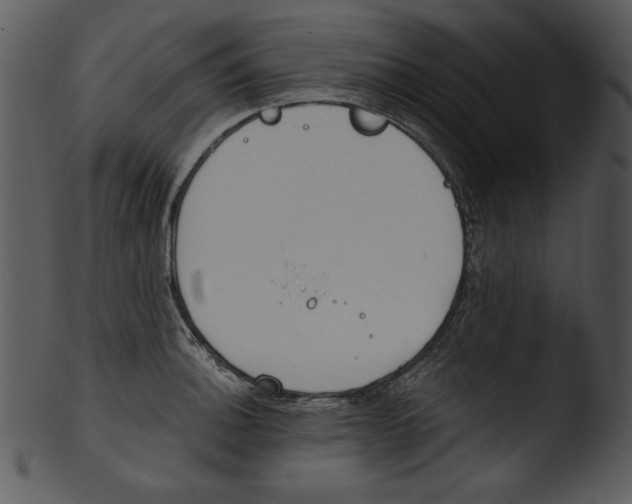 X0000103231140200809251258