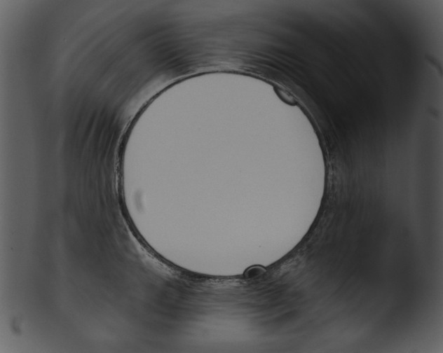 X0000103231143200809251258