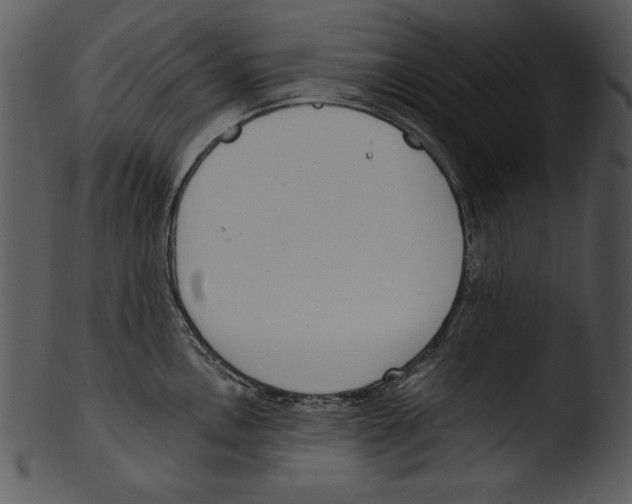 X0000103231146200809251258