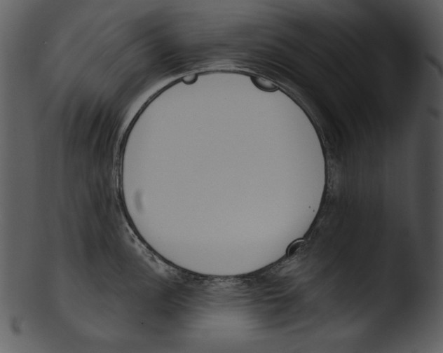 X0000103231148200809251258
