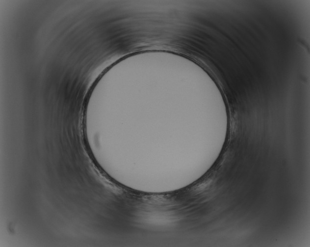 X0000103231149200809251258