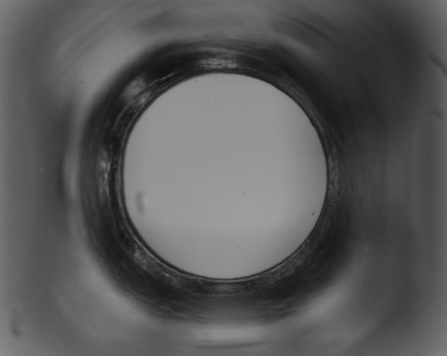 X0000103231151200809251258