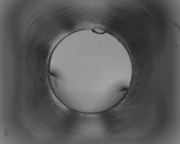 X0000103231152200809251258