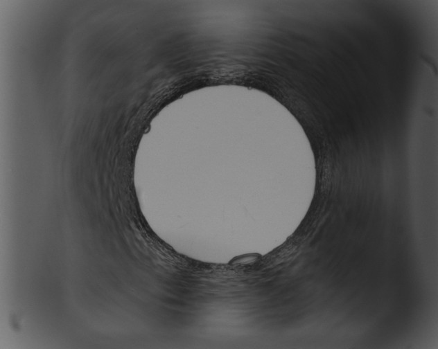 X0000103231153200809251258