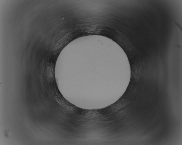X0000103231154200809251258