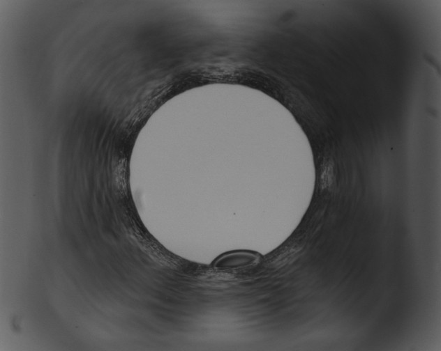 X0000103231156200809251258