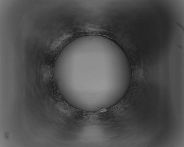 X0000103231157200809251258