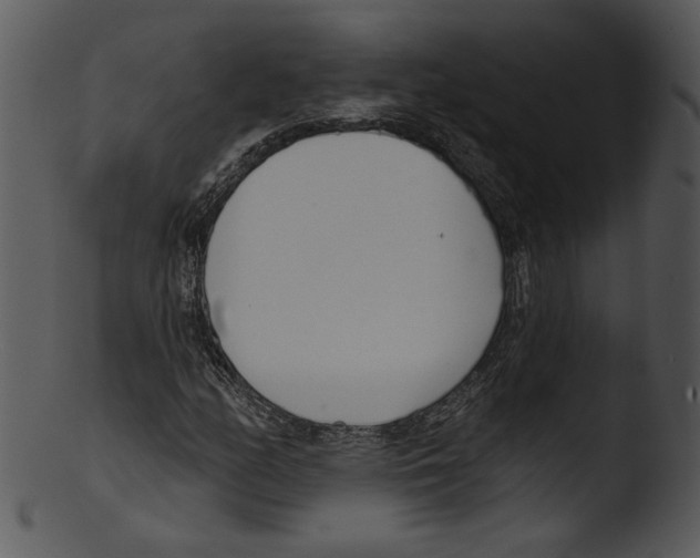 X0000103231158200809251258