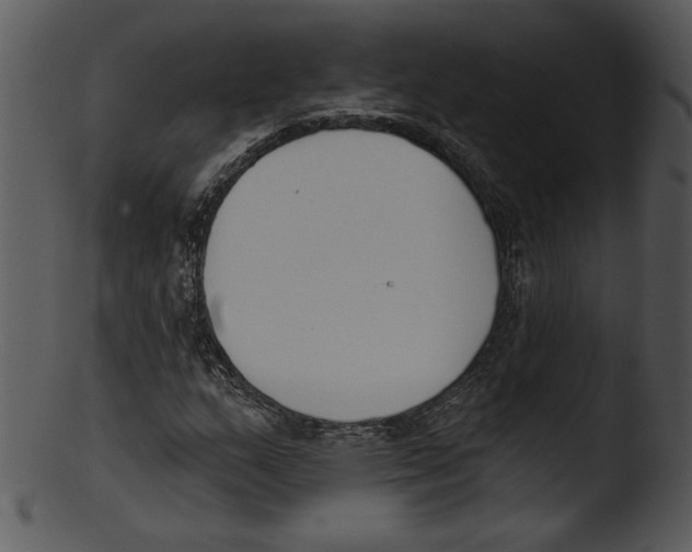 X0000103231159200809251258