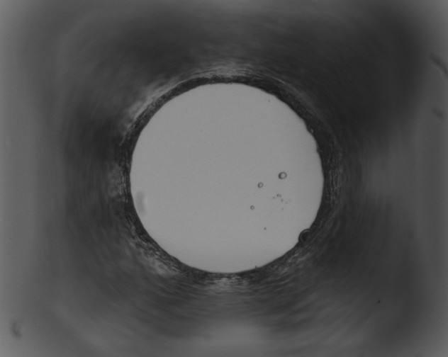 X0000103231160200809251258