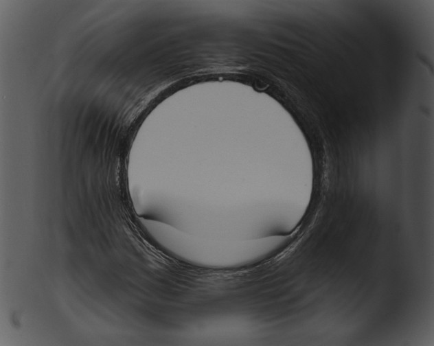 X0000103231161200809251258