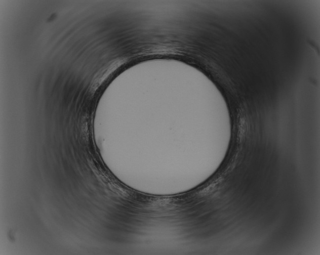 X0000103231162200809251258