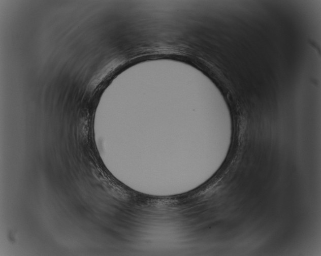 X0000103231163200809251258
