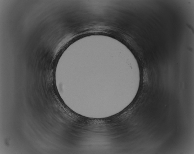 X0000103231164200809251258