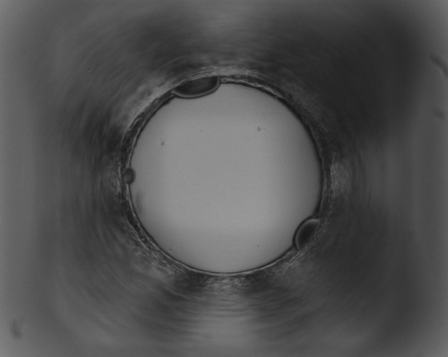 X0000103231165200809251257