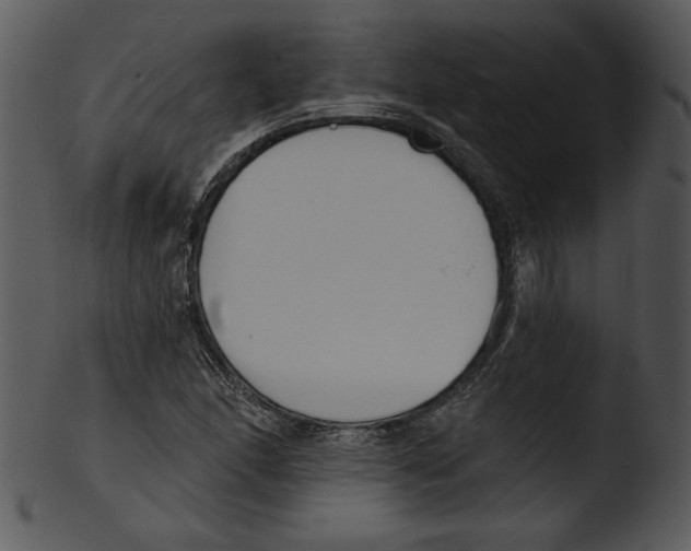 X0000103231166200809251257