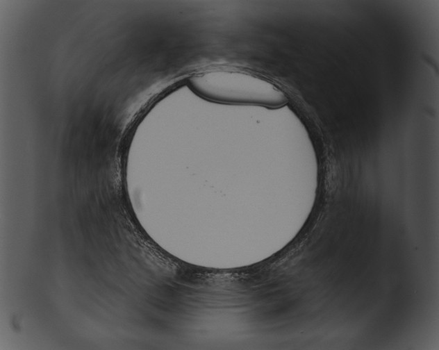 X0000103231167200809251257