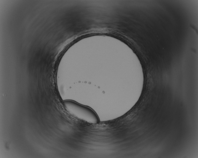 X0000103231168200809251257