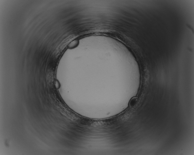 X0000103231169200809251257