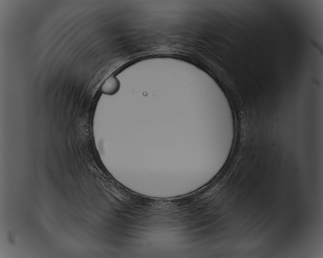 X0000103231170200809251257
