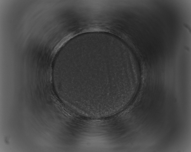 X0000103231173200809251257