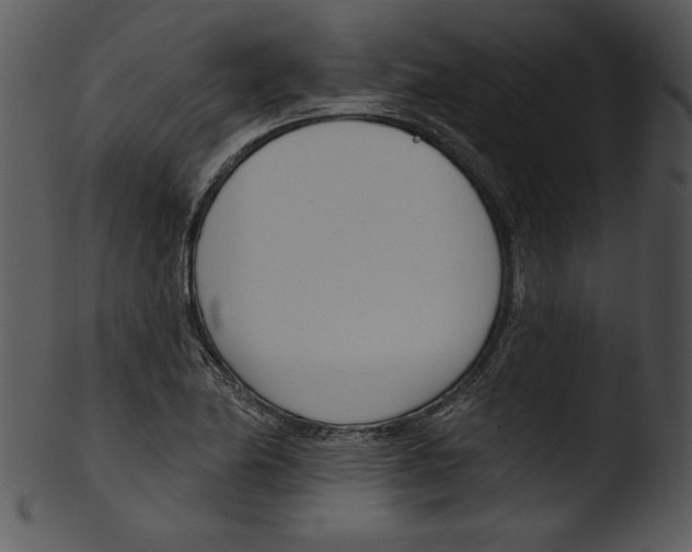 X0000103231174200809251257