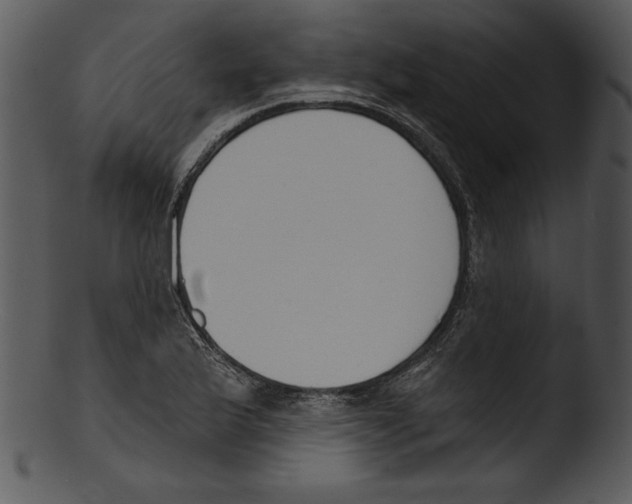 X0000103231175200809251257