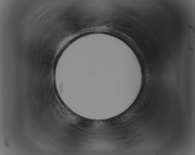 X0000103231176200809251257