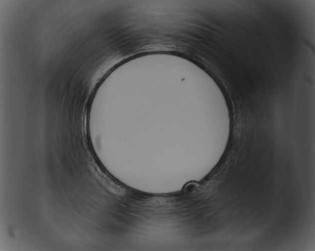 X0000103231179200809251257